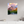 24 x 30″, Canvas with Wrapped Edges, Glossy Teton Range from String Lake - Grand Teton National Park