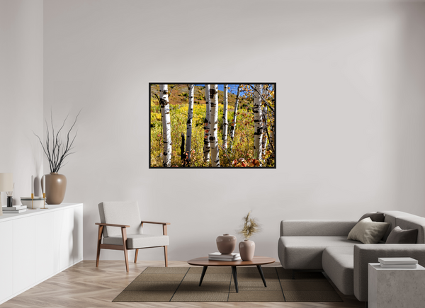 60 x 40″, Floater Frame Aspens, Idaho