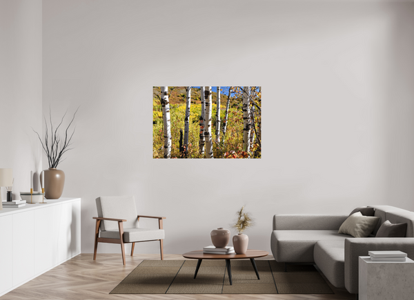 54 x 36″, Direct Print on Aluminum Board, Matte Aspens