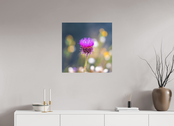 25 x 25″, Direct Print on Aluminum Board, Matte Wyoming Thistle