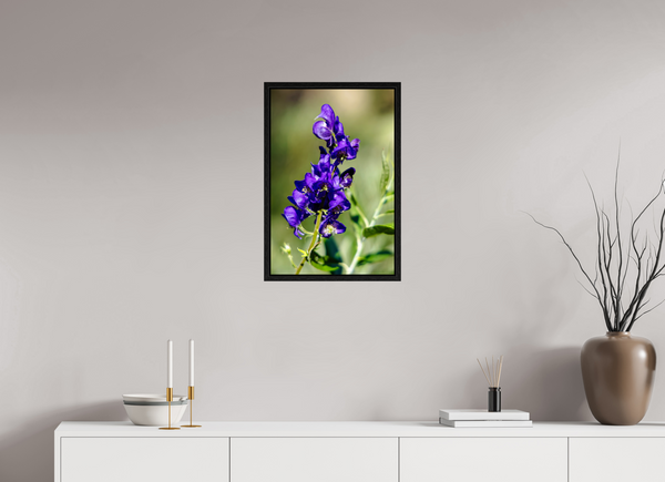 16 x 24″, Floater Frame Violet Wildflower