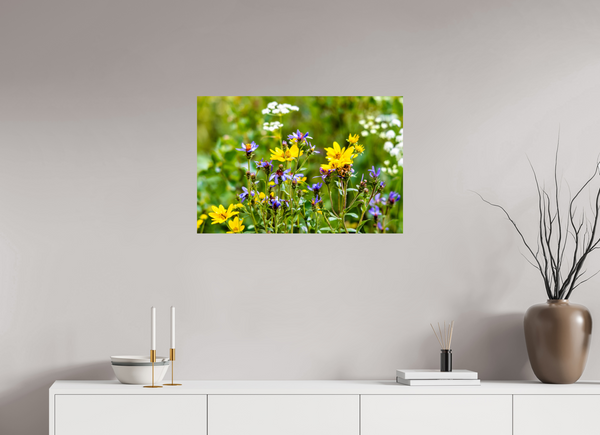 30 x 20″, Photo Print On Fuji Crystal DP II Wildflowers