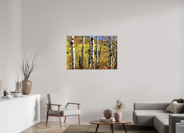 45 x 30″, Direct Print on Aluminum Board, Matte Aspens