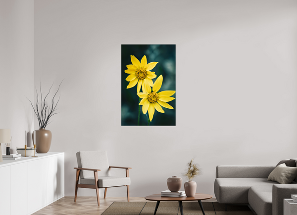 30 x 45″, Photo Print Under Acrylic Glass Wild Sunflower