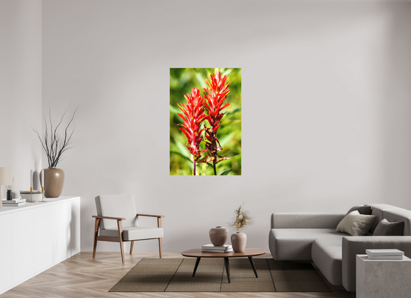 36 x 54″, Direct Print on Aluminum Board, Matte Indian Paintbrush