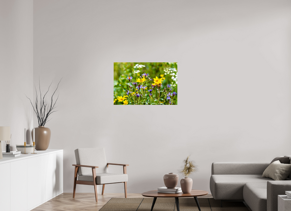 36 x 24″, Photo Print On Fuji Crystal DP II Wildflowers