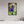 20 x 30″, Floater Frame Violet Wildflower
