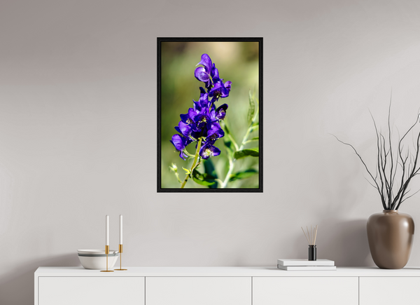 20 x 30″, Floater Frame Violet Wildflower