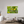 66 x 44″, Photo Print Under Acrylic Glass Wildflowers