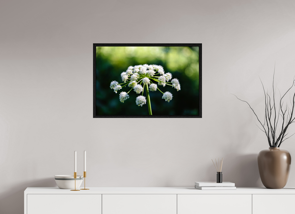 30 x 20″, Floater Frame White Wildflower