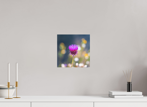 10 x 10″, Photo Print On Fuji Crystal DP II Wyoming Thistle