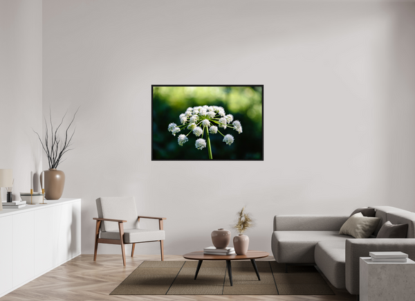 54 x 36″, Floater Frame White Wildflower