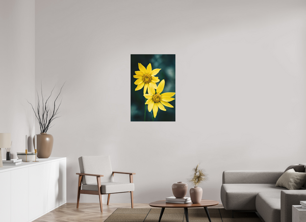 24 x 36″, Direct Print on Aluminum Board, Matte Wild Sunflower
