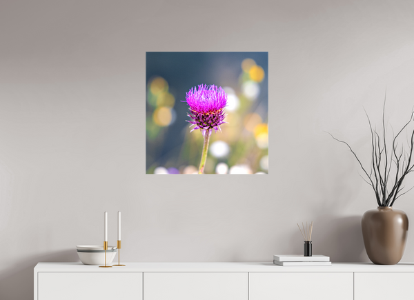 25 x 25″, Canvas with Wrapped Edges, Glossy Wyoming Thistle
