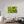 60 x 40″, Photo Print Under Acrylic Glass Wildflowers