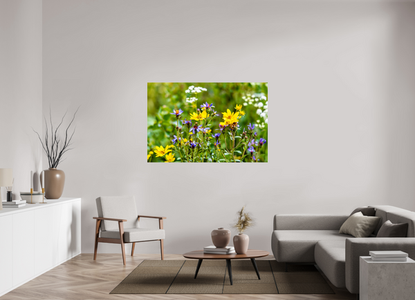 60 x 40″, Photo Print Under Acrylic Glass Wildflowers