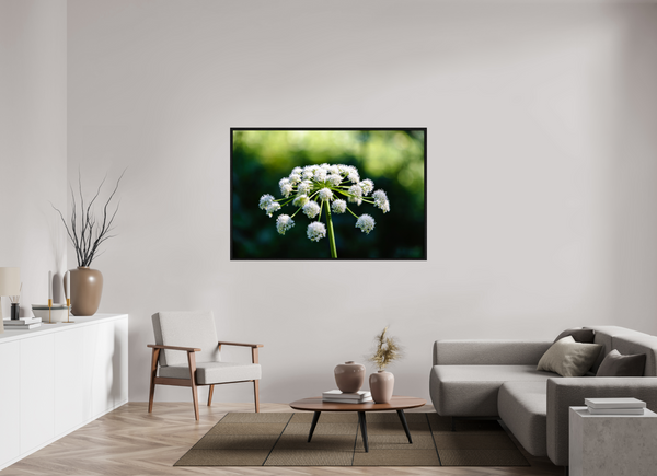60 x 40″, Floater Frame White Wildflower