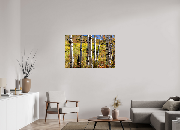 45 x 30″, Photo Print On Fuji Crystal DP II Aspens, Idaho
