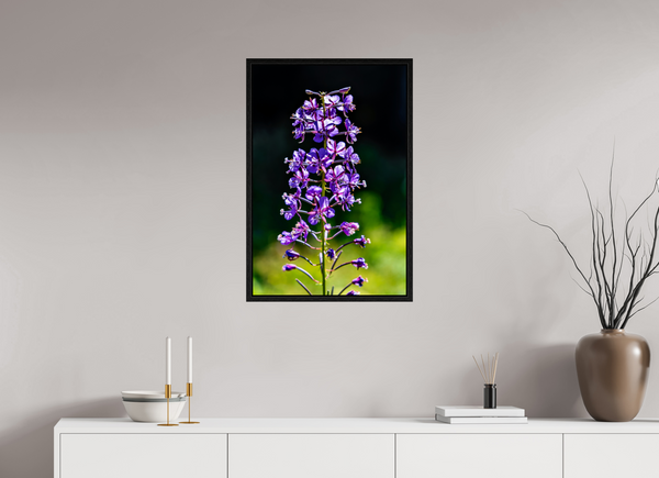 20 x 30″, Floater Frame Violet Lupine