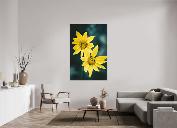 44 x 66″, Direct Print on Aluminum Board, Matte Wild Sunflower