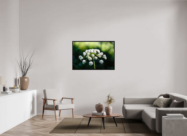 45 x 30″, Floater Frame White Wildflower
