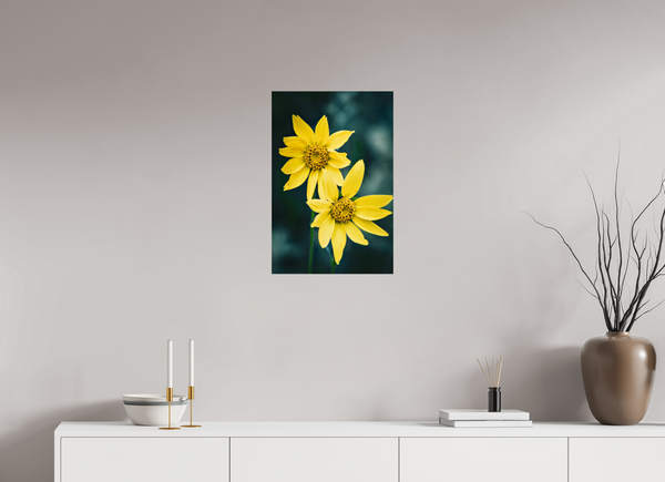16 x 24″, Photo Print On Fuji Crystal DP II Yellow Wildflower