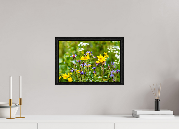 15 x 10″, Floater Frame Wildflowers
