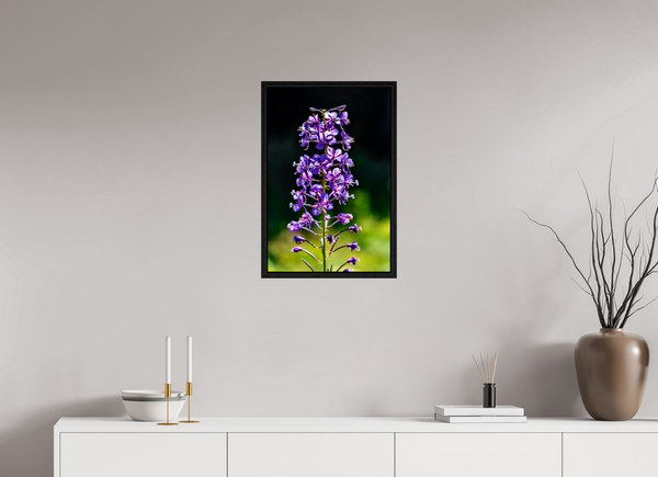 16 x 24″, Floater Frame Violet Lupine