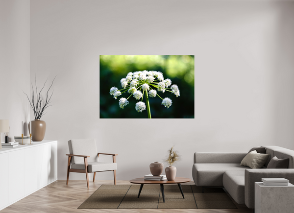 66 x 44″, Canvas with Wrapped Edges, Glossy Wildflower