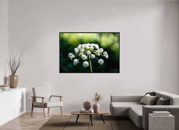 66 x 44″, Floater Frame White Wildflower