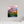12 x 15″, Canvas with Wrapped Edges, Glossy Teton Range from String Lake - Grand Teton National Park