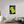 36 x 54″, Photo Print Under Acrylic Glass Wild Sunflower