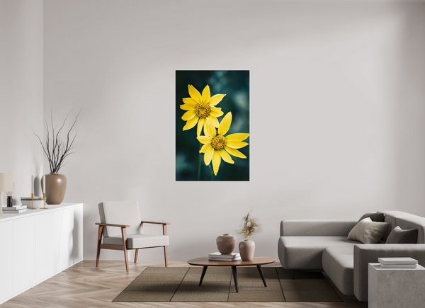 36 x 54″, Photo Print Under Acrylic Glass Wild Sunflower