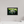 12 x 8″, Floater Frame White Wildflower