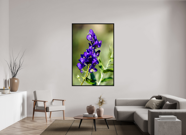 44 x 66″, Floater Frame Violet Wildflower