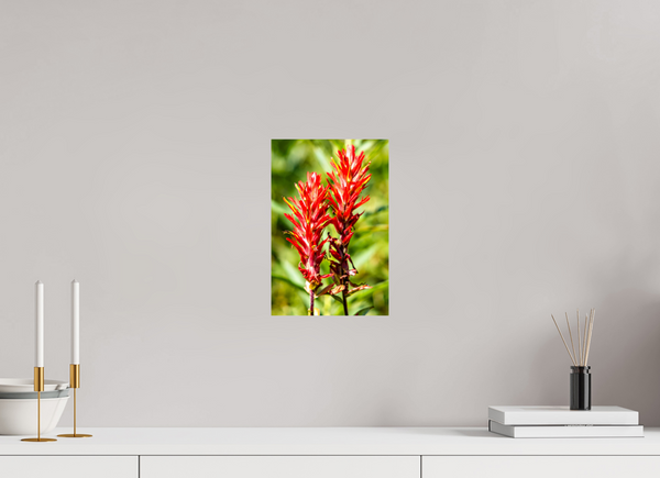 8 x 12″, Photo Print On Fuji Crystal DP II Indian Paintbrush