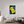 36 x 54″, Direct Print on Aluminum Board, Matte Wild Sunflower