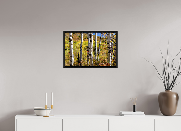 24 x 16″, Floater Frame Aspens, Idaho
