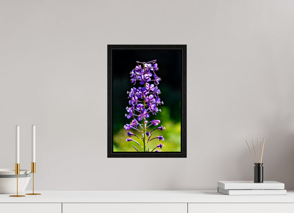 10 x 15″, Floater Frame Violet Lupine