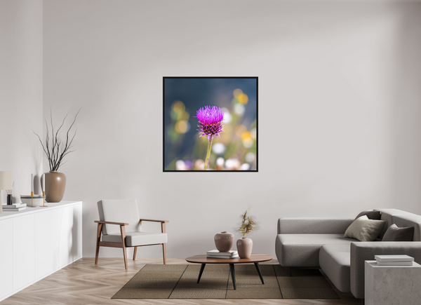 45 x 45″, Floater Frame Wyoming Thistle