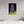 20 x 30″, Photo Print Under Acrylic Glass Violet Fireweed