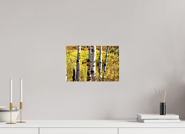 12 x 8″, Canvas with Wrapped Edges, Glossy Aspens