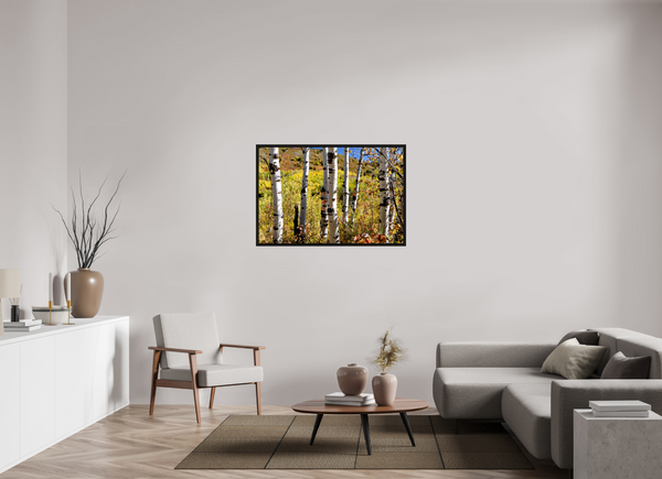 45 x 30″, Floater Frame Aspens, Idaho