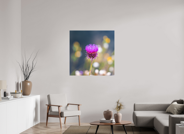 40 x 40″, Photo Print Under Acrylic Glass Wyoming Thistle