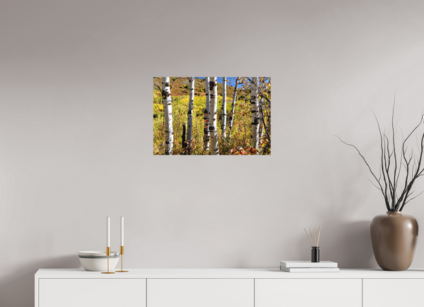 24 x 16″, Direct Print on Aluminum Board, Matte Aspens