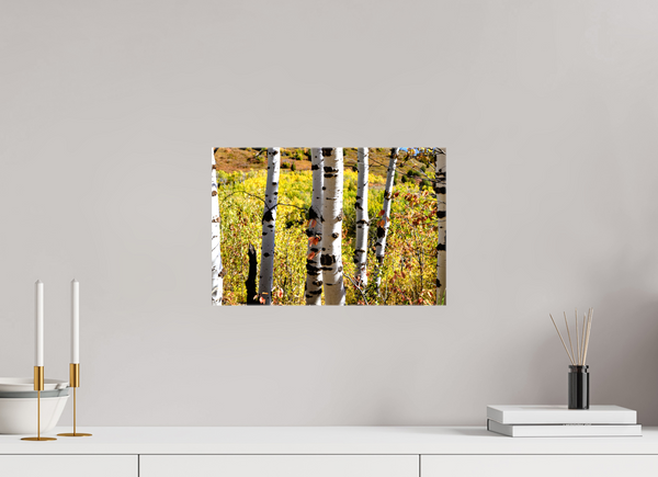 15 x 10″, Canvas with Wrapped Edges, Glossy Aspens