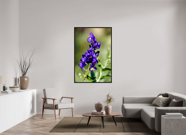 40 x 60″, Floater Frame Violet Wildflower