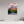 24 x 30″, Photo Print Under Acrylic Glass Teton Range from String Lake - Grand Teton National Park