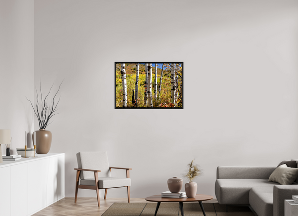 36 x 24″, Floater Frame Aspens, Idaho