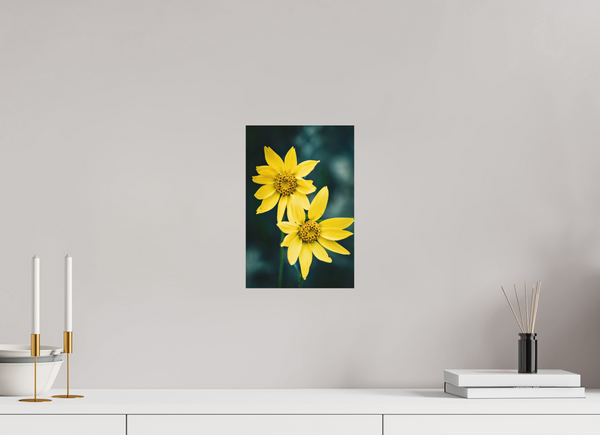 8 x 12″, Direct Print on Aluminum Board, Matte Wild Sunflower